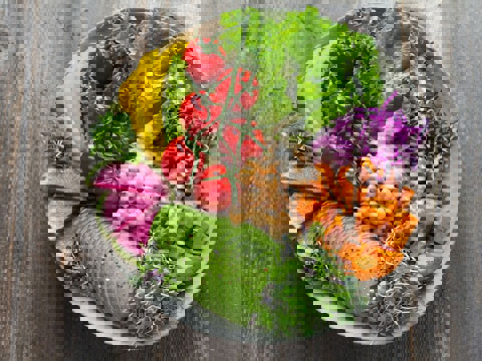 Anna Pelzer Igfigp5onv0 Unsplash