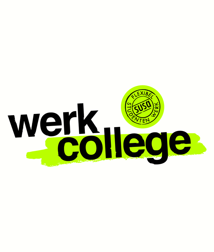 Werkcollege Artikel Overview Pic