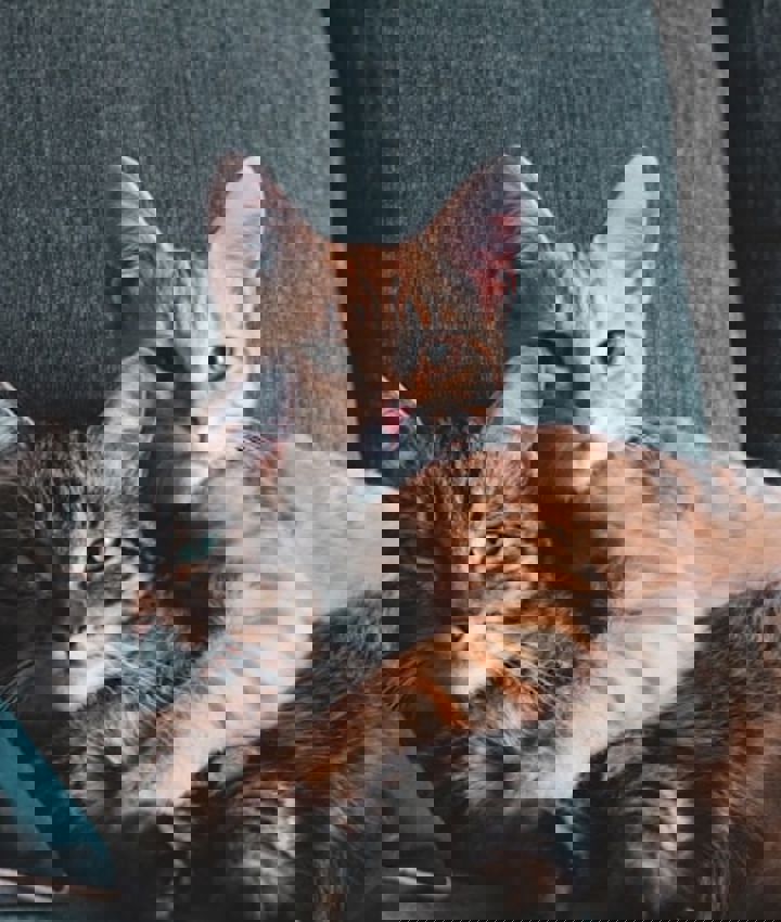 Sigmund Ihbt9vaybg8 Unsplash