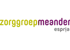 Logo Meander