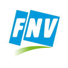 Fnv Logo