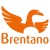 Cropped Favicon Oranje