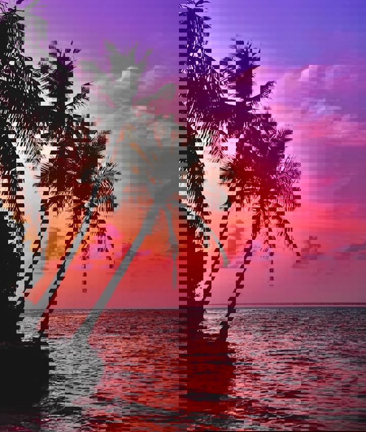 Saiph Muhammad Css8ain Lki Unsplash