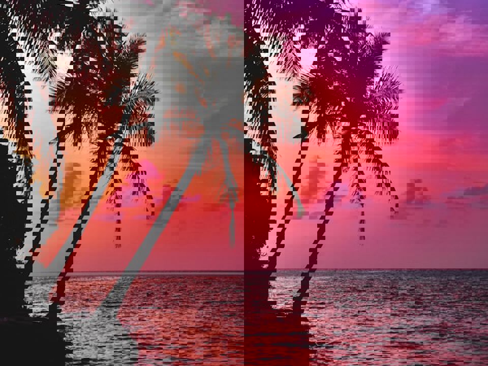 Saiph Muhammad Css8ain Lki Unsplash
