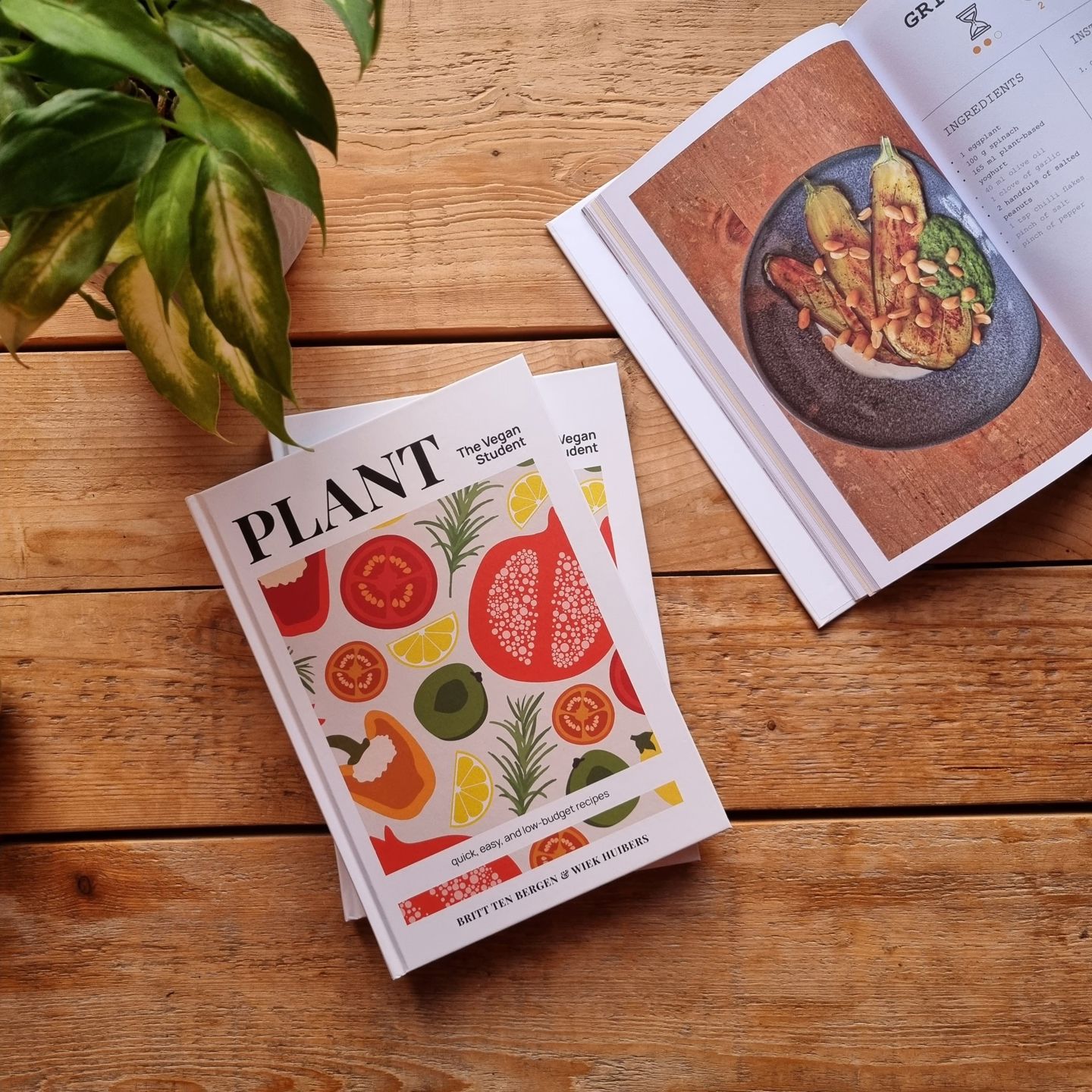 Vegan Kookboek Plant (1)