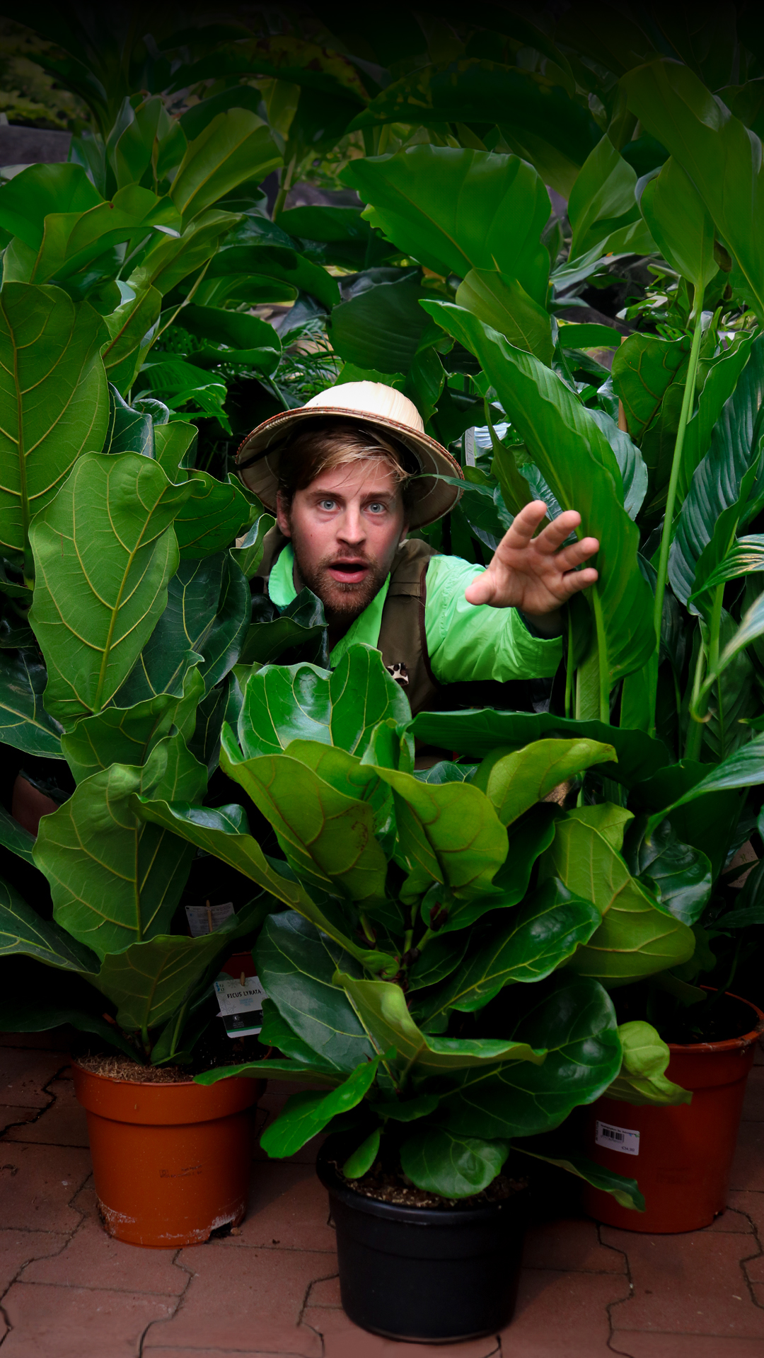 Fred Bonk In Planten 2