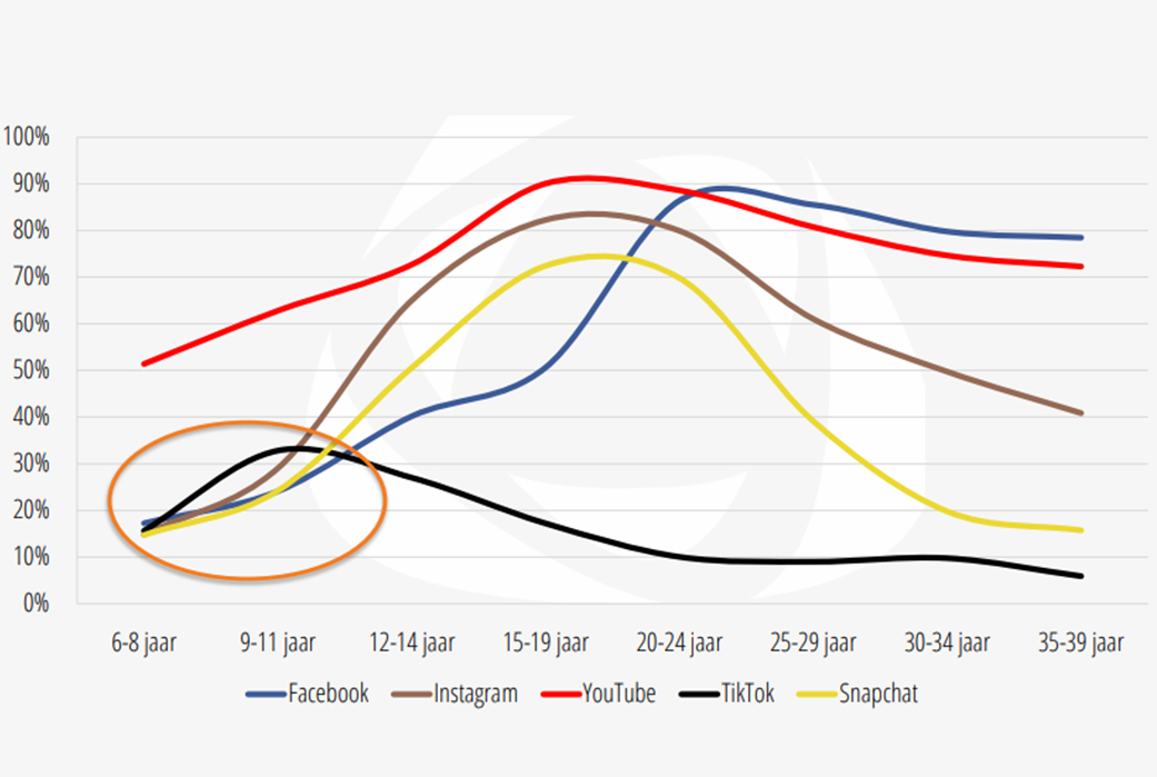 Gebruik social media (bron: Nationale Social Media Onderzoek 2020)