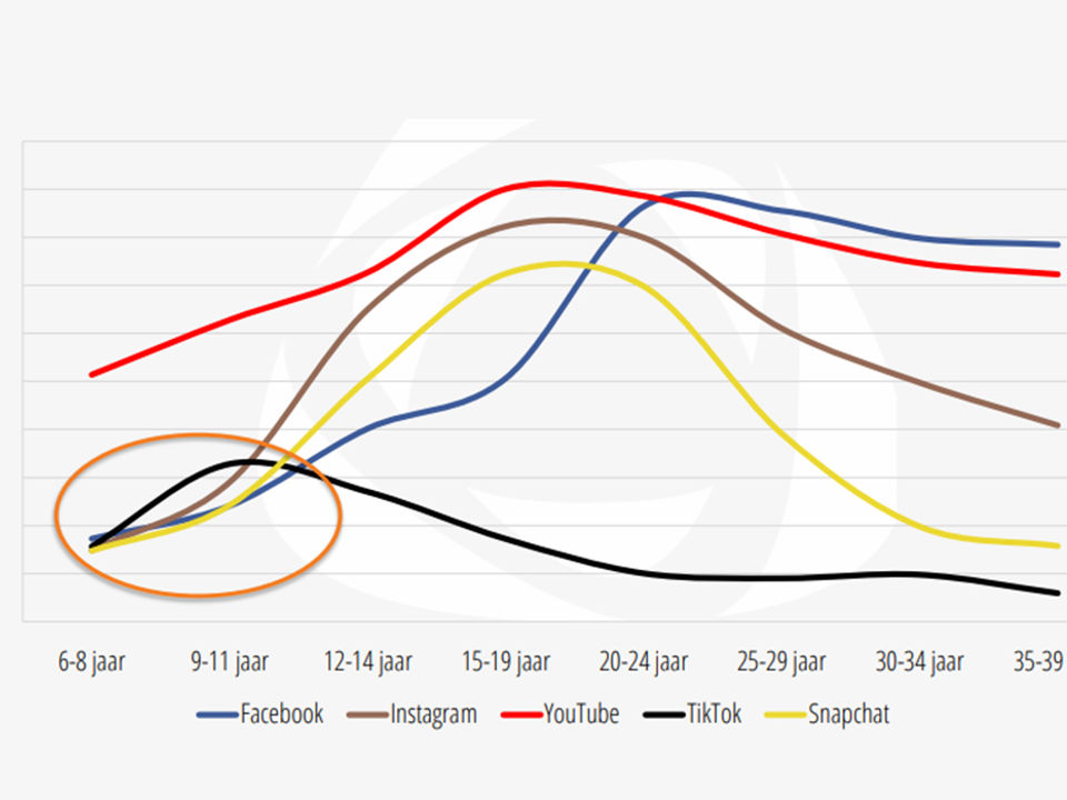 Gebruik social media (bron: Nationale Social Media Onderzoek 2020)